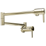 Polished Nickel