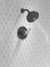 DELTA Nicoli Monitor 14 Series H2Okinetic Shower — Matte Black / Chrome