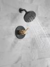 DELTA Nicoli Monitor 14 Series H2Okinetic Shower — Matte Black / Champagne Bronze