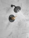 DELTA Nicoli Monitor 14 Series H2Okinetic Shower — Matte Black / Champagne Bronze