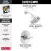DELTA Nicoli Monitor 14 Series H2Okinetic Shower — Chrome