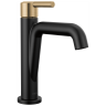 Matte Black / Champagne Bronze