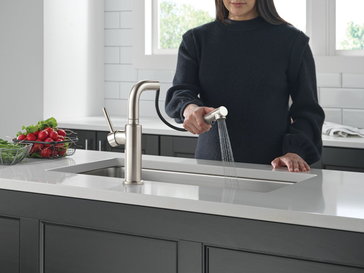 DELTA Daneri Single Handle Pull-Out Kitchen Faucet — Stainless
