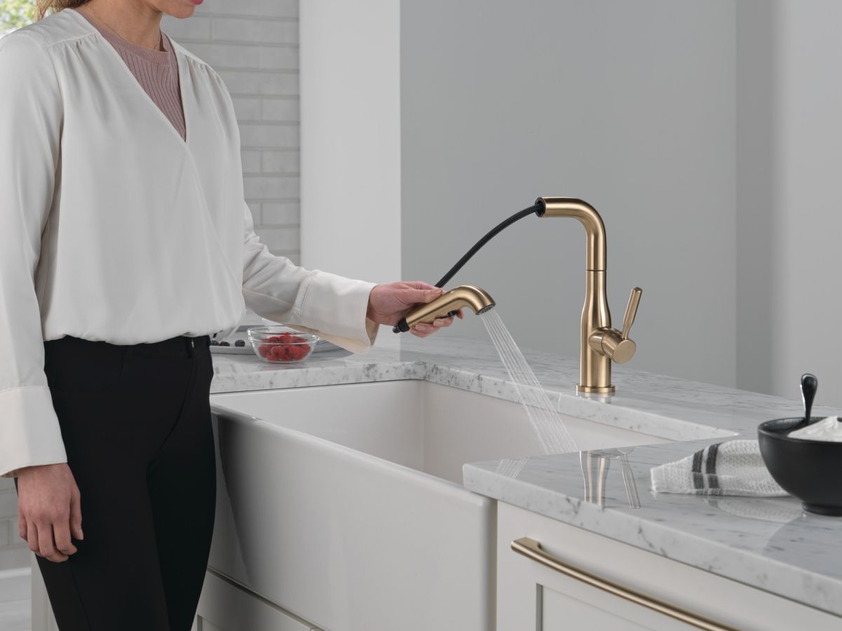 DELTA Almari Single Handle Pull-Out Kitchen Faucet — Champagne Bronze
