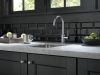 DELTA Trinsic True Bar Limited Swivel — Arctic Stainless