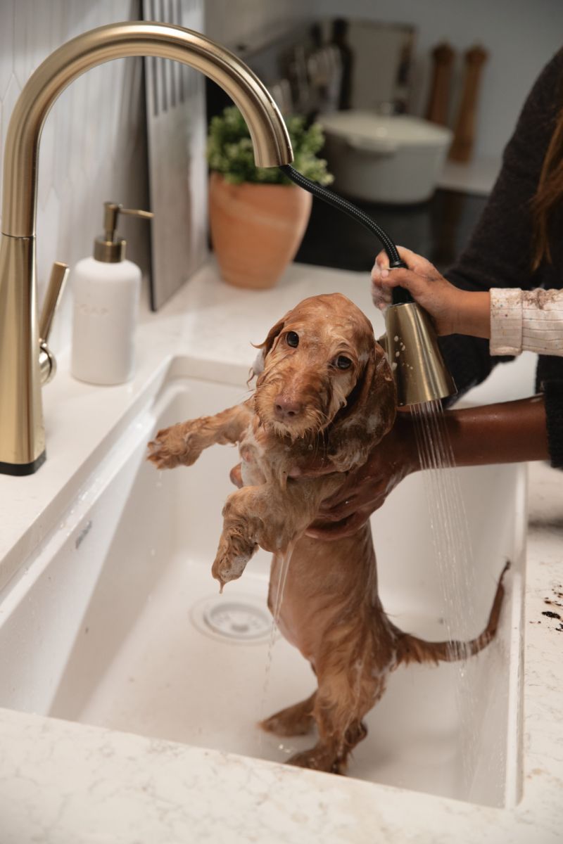 DELTA Lenta Single-Handle Pull-Down Kitchen Faucet with Touch2O Technology — Champagne Bronze