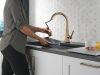 DELTA Lenta Single-Handle Pull-Down Kitchen Faucet with Touch2O Technology — Champagne Bronze