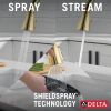 DELTA Lenta Single-Handle Pull-Down Kitchen Faucet with Touch2O Technology — Brushed Gold