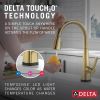 DELTA Lenta Single-Handle Pull-Down Kitchen Faucet with Touch2O Technology — Brushed Gold