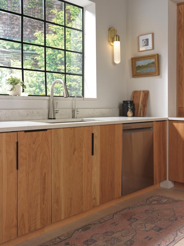 DELTA Lenta Single-Handle Pull-Down Kitchen Faucet with Touch2O Technology — Spotshield Stainless