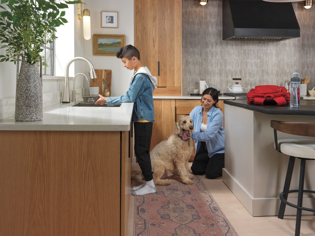 DELTA Clarifi Contemporary Beverage Faucet — Stainless