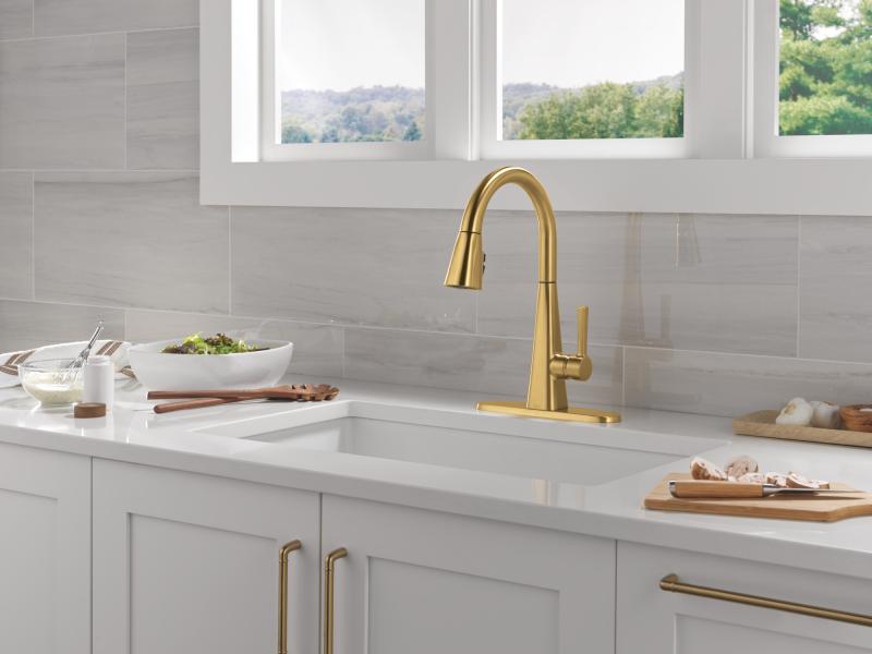 DELTA Lenta Single-Handle Pull-Down Kitchen Faucet — Brushed Gold