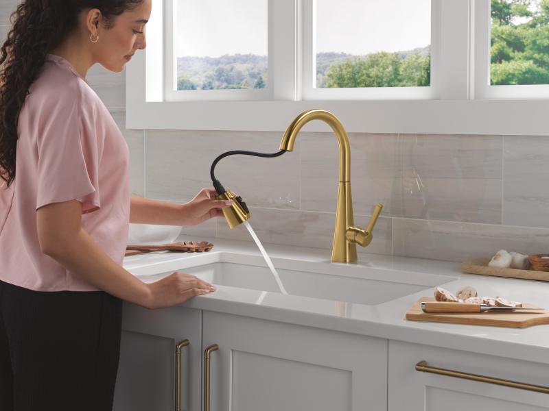 DELTA Lenta Single-Handle Pull-Down Kitchen Faucet — Brushed Gold