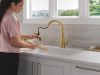 DELTA Lenta Single-Handle Pull-Down Kitchen Faucet — Brushed Gold