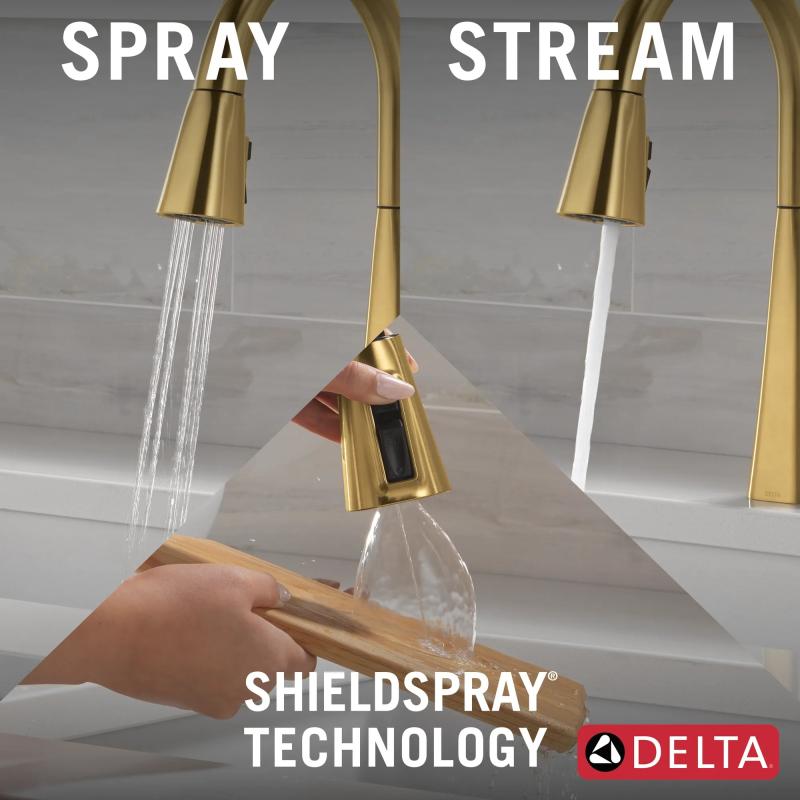 DELTA Lenta Single-Handle Pull-Down Kitchen Faucet — Brushed Gold