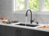 DELTA Hazelwood Single Handle Pull-Down Kitchen Faucet with Soap Dispenser and ShieldSpray Technology — Matte Black