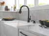 DELTA Capertee Single Handle Pull-Down Kitchen Faucet with Soap Dispenser and ShieldSpray Technology — Matte Black