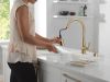 DELTA Boyd Single Handle Pull-Down Kitchen Faucet with Soap Dispenser and ShieldSpray Technology — Champagne Bronze