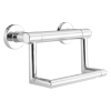 DELTA BathSafety Contemporary Tissue Holder with Assist Bar — Chrome