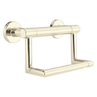 DELTA BathSafety Contemporary Tissue Holder with Assist Bar — Polished Nickel