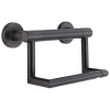 DELTA BathSafety Contemporary Tissue Holder with Assist Bar — Venetian Bronze