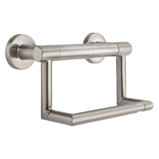 DELTA BathSafety Contemporary Tissue Holder with Assist Bar — Stainless
