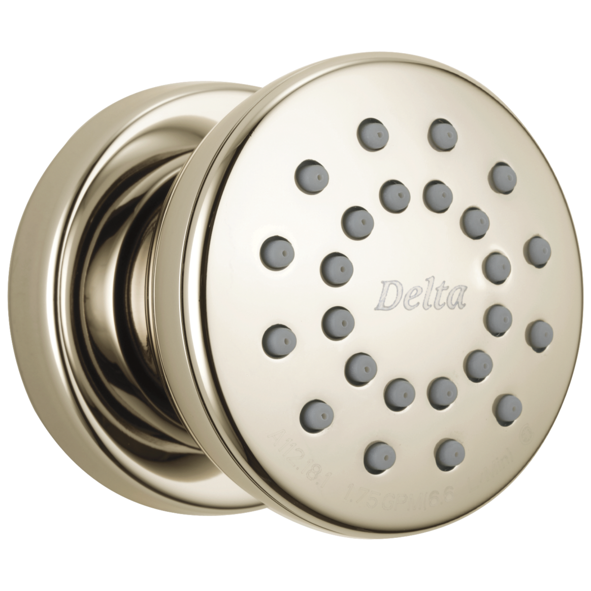 DELTA Other Surface Mount Body Spray — Polished Nickel