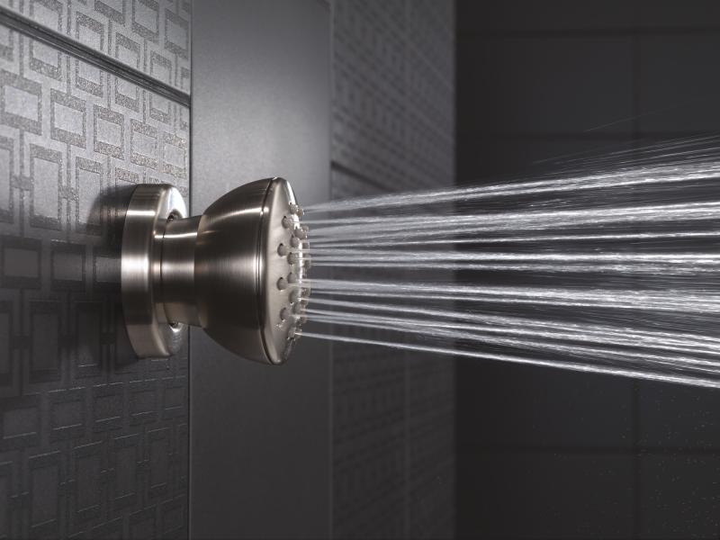DELTA Other Surface Mount Body Spray — Stainless
