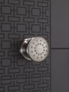 DELTA Other Surface Mount Body Spray — Stainless