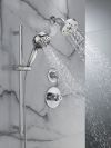 DELTA Trinsic Monitor 14 Series H2OKINETIC Shower Trim — Chrome