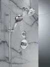 DELTA Trinsic Monitor 14 Series H2OKINETIC Shower Trim — Chrome