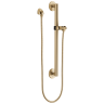 Champagne Bronze
