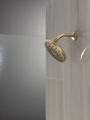 DELTA Universal Showering Components PivotPro Raincan Shower Head — Lumicoat® Champagne Bronze