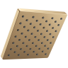 Champagne Bronze