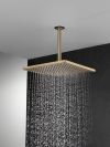 DELTA Universal Showering Components Single-Setting Metal Raincan Shower Head — Lumicoat® Champagne Bronze