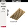 DELTA Universal Showering Components Single-Setting Metal Raincan Shower Head — Champagne Bronze