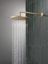 DELTA Other Shower Arm - 16" — Champagne Bronze