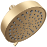 Champagne Bronze
