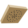 Champagne Bronze