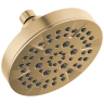 Champagne Bronze