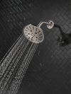 DELTA Universal Showering Components H2OKINETIC 5-Setting Traditional Raincan Shower Head — Lumicoat® Stainless