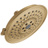 Champagne Bronze