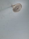 DELTA Universal Showering Components H2OKINETIC 3-Setting Raincan Shower Head — Stainless