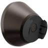 Venetian Bronze