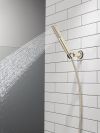 DELTA Universal Showering Components 2-Setting Hand Shower with ProClean Spray – Wall Mount — Lumicoat® Polished Nickel