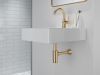 DELTA Bottle Trap — Champagne Bronze