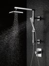 DELTA Universal Showering Components 60"-80" Hand Shower Hose — Chrome