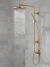 DELTA Trinsic Single-Setting Hand Shower — Champagne Bronze