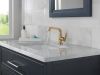 DELTA Tetra Single Handle Bathroom Faucet — Lumicoat® Champagne Bronze