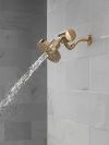 DELTA Clarifi Premium Shower Filter Attachment — Champagne Bronze